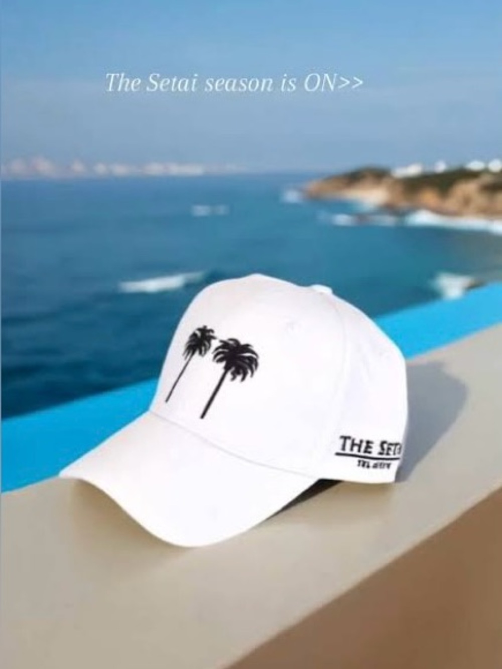 The Setai Miami Beach x Palm Angels Black & White Cap Hat Palm Tree Embroidered